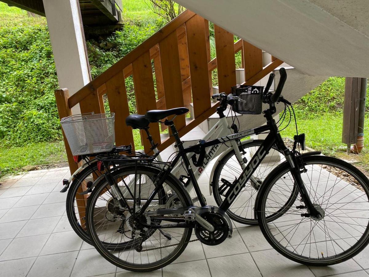 Obernzell Geschmackvolles Appartement Am Donauradweg מראה חיצוני תמונה